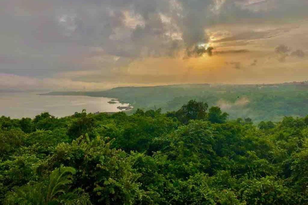 Birdsnest River View Dabolim